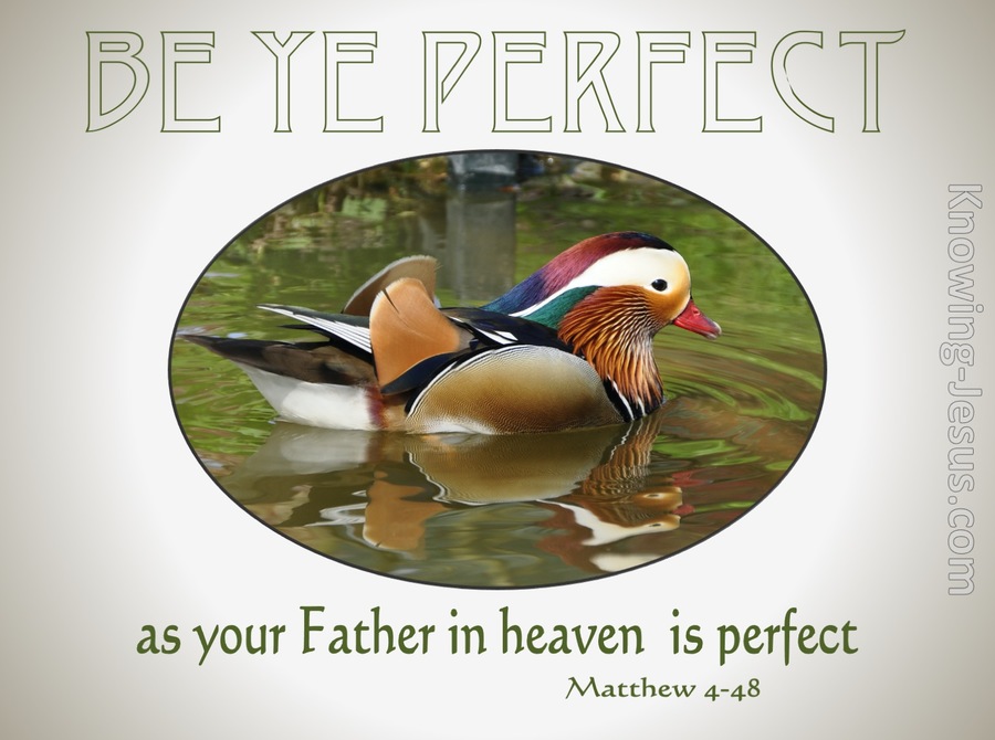 Matthew 5:48 Be Ye Perfect As Your Father In Heaven (green)